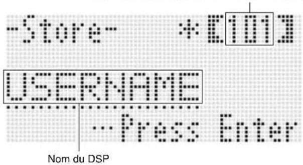 -Store- *E1001 USERNAME ...Press Enter Nom du DSP