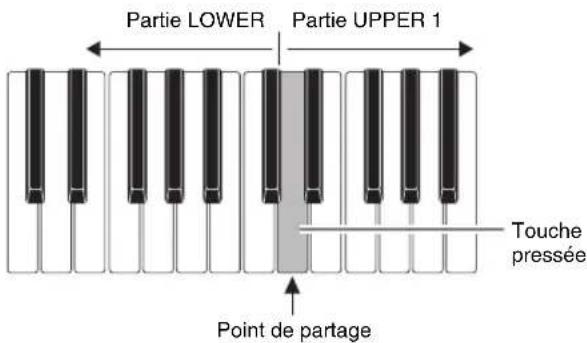 Partie LOWER Partie UPPER 1 Touche pressée Point de partage