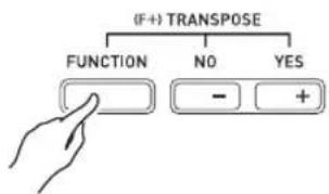 (F+) TRANSPOSE FUNCTION NO YES - +