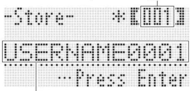 -Store- *EIII USERNAME0001 Press Enter