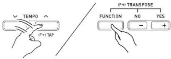 TEMP0 (F+) TAP (F+) TRANSPOSE FUNCTION NO YES - +