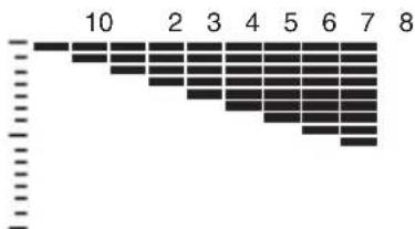 CASIO WK-7600 - Adjusting a Drawbar Organ Tone in Real Time - 1