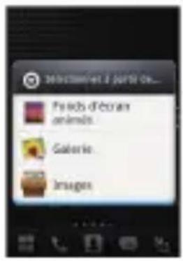 360000 net 1 partir On... Friends d'ecars animals Galleries Images