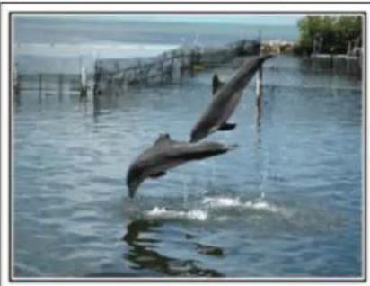 JVC Everio GZ-EX310 - Capturing the Best Moment in a Video as a Still Image - 1