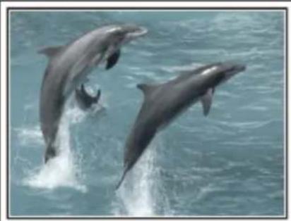 JVC Everio GZ-EX310 - Capturing the Best Moment in a Video as a Still Image - 2