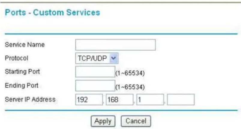 NETGEAR WNR2200 - Adding a Custom Service - 1