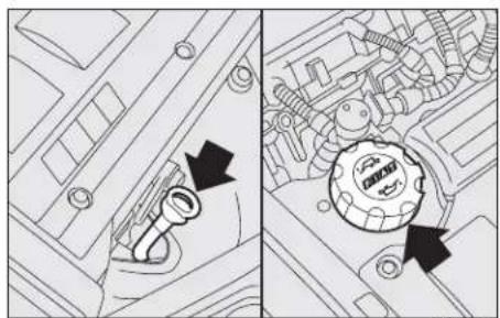 FIAT Punto (2003) - Topping up engine oil - 3