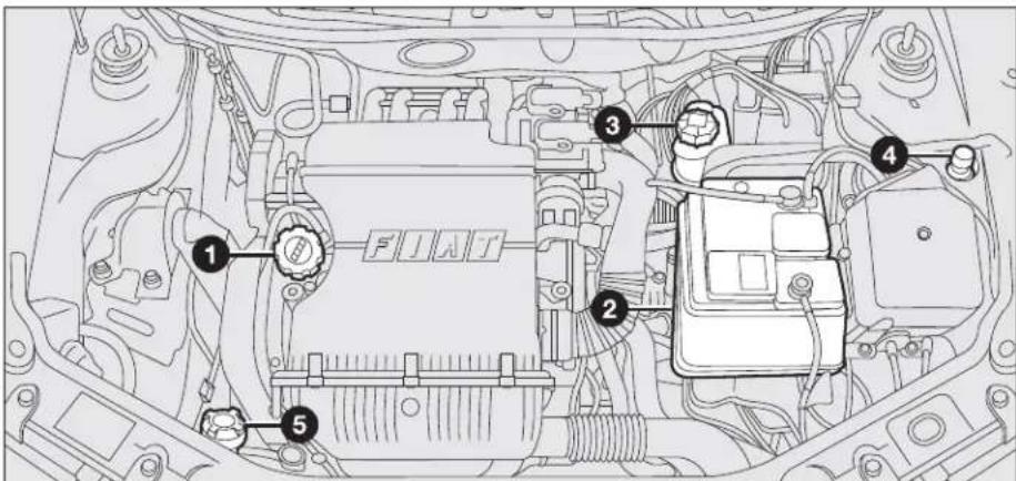 FIAT Punto (2003) - CHECKING FLUID LEVELS - 1
