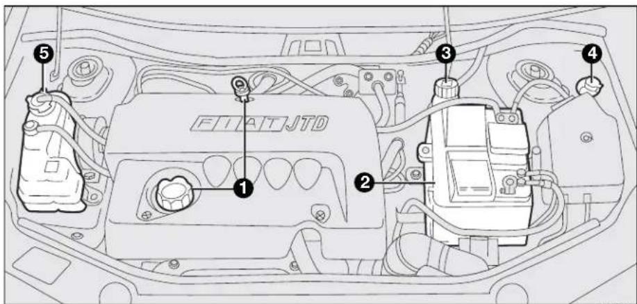 FIAT Punto (2003) - CHECKING FLUID LEVELS - 4