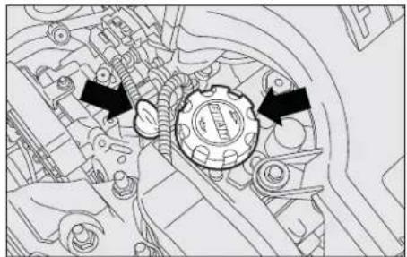 FIAT Punto (2003) - Topping up engine oil - 2
