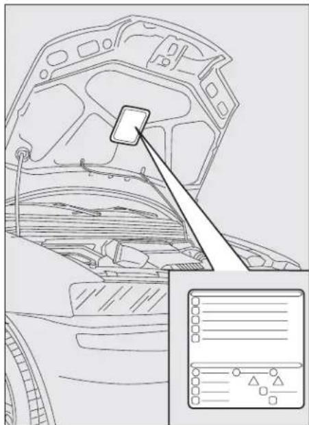 FIAT Punto (2003) - OPERATION - 1
