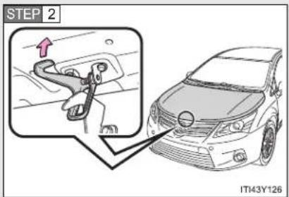 TOYOTA Avensis (2012) - Hood - 2