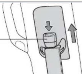 TOYOTA Land Cruiser (2013) - Seat belts-Shoulder belt anchor - 1