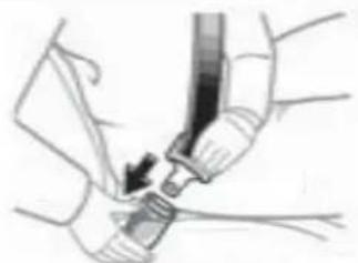 TOYOTA Land Cruiser (2013) - Seat belts - 1