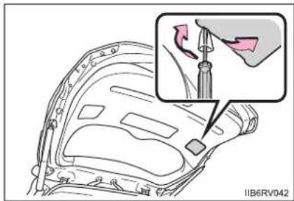 TOYOTA RAV4 (2013) - ■Tail lights and back-up lights - 1