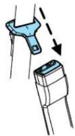 FORD Fiesta (2009) - Seating and Safety Restraints - 1