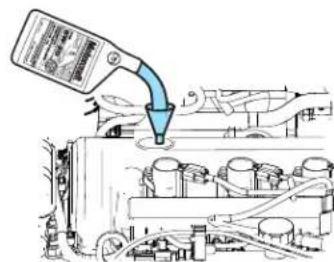 FORD Focus (2011) - Checking the engine oil - 2
