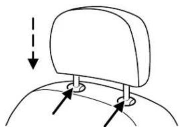 FORD Focus (2011) - Seating and Safety Restraints - 3