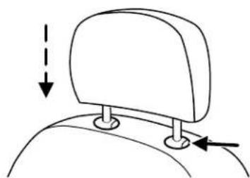 FORD Focus (2011) - Seating and Safety Restraints - 2