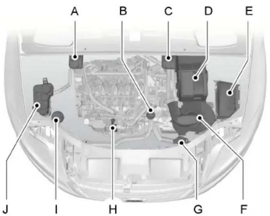 FORD Galaxy (2011) - UNDER HOOD OVERVIEW - 2.2L DURATORQ-TDCI (DW) DIESEL - 1