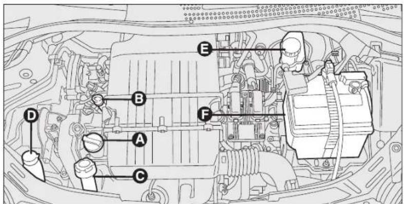 FORD Ka (2011) - SERVICING AND CARE - 1