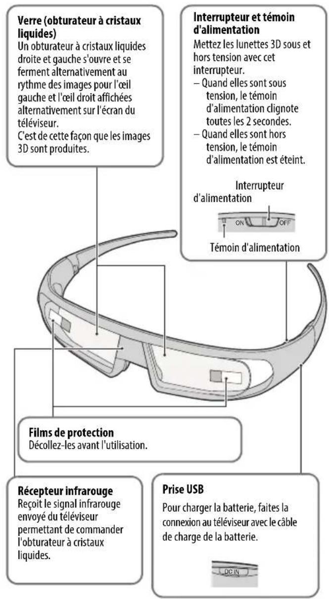 Verre (obturateur à cristaux liquides) Un obturateur à cristaux liquides droite et gauche s'ouvre et se ferment alternativement au rythme des images pour l'œil gauche et l'œil droit affichées alternativement sur l'écran du téléviseur. C'est de cette façon que les images 3D sont produites. Interrupteur et témoin d'alimentation Mettez les lunettes 3D sous et hors tension avec cet interrupteur. - Quand elles sont sous tension, le témoin d'alimentation clignote toutes les 2 secondes. - Quand elles sont hors tension, le témoin d'alimentation est éteint. Interrupteur d'alimentation ON OFF Témoin d'alimentation Films de protection Décollez-les avant l'utilisation. Récepteur infrarouge Reçoit le signal infrarouge envoyé du téléviseur permettant de commander l'obturateur à cristaux liquides. Prise USB Pour charger la batterie, faites la connexion au téléviseur avec le câble de charge de la batterie.