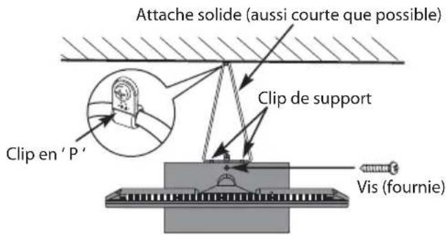 Attache solide (aussi courte que possible) Clip de support Clip en 'P' Vis (fournie)