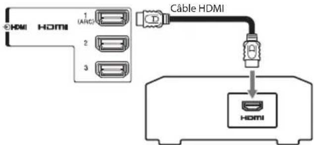 Câble HDMI 1 (ANC) 2 3 HDMI HDMI