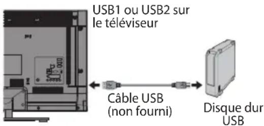 USB1 ou USB2 sur le téléviseur Câble USB (non fourni) Disque dur USB