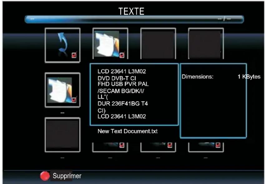 SALORA 24LED6115CDW - TEXTE - 2