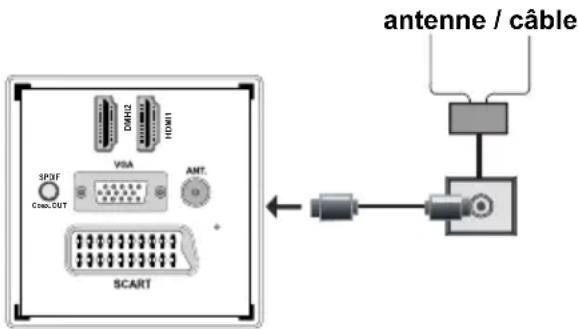 SALORA 24LED7105CD - Branchement de l'antenne - 1