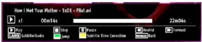 SALORA 24LED7105CD - Media Playback Using Media Browser - 3
