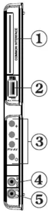 SALORA 24LED7105CD - Zijdelingse aansluitingen - 1