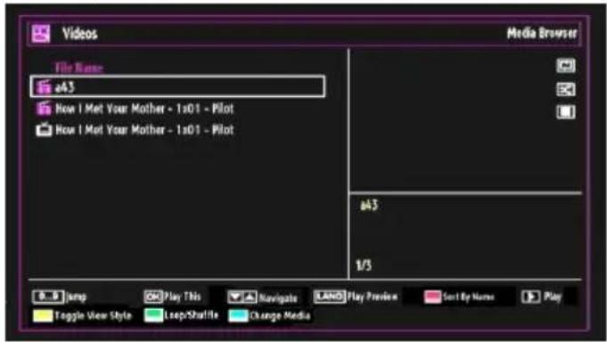 SALORA 24LED7105CD - Media Playback Using Media Browser - 2