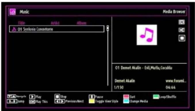 SALORA 24LED7105CD - Viewing Music via USB - 1