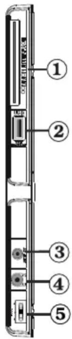 SALORA 32LED7105CD - Viewing the Connections - Side Connectors - 1