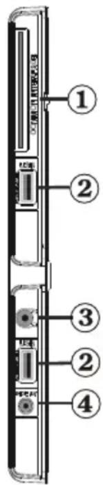 SALORA 42LED7100C - Viewing the Connections - Side Connectors - 1