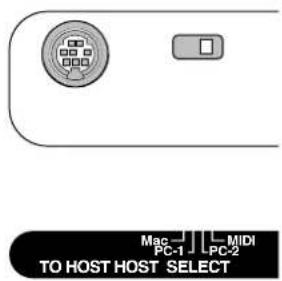 YAMAHA Clavinova CLP-F01 - [TO HOST] connector - 1