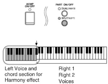 YAMAHA Clavinova CVP-405 - ● Harmony Types - 2