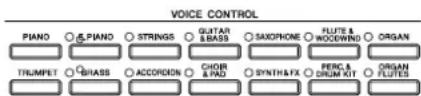 YAMAHA Clavinova CVP-405 - Playing the Instrument - 2
