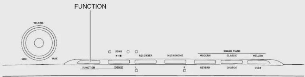 FUNCTION VOLUME MIN MAX SOND REORDER METRONE DRAND PLANS MODERN CLASSIC MELLOW FUNCTION DEMO L R REVERB CHORUS DUET