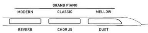 GRAND PIANO MODERN CLASSIC MELLOW REVERB CHORUS DUET