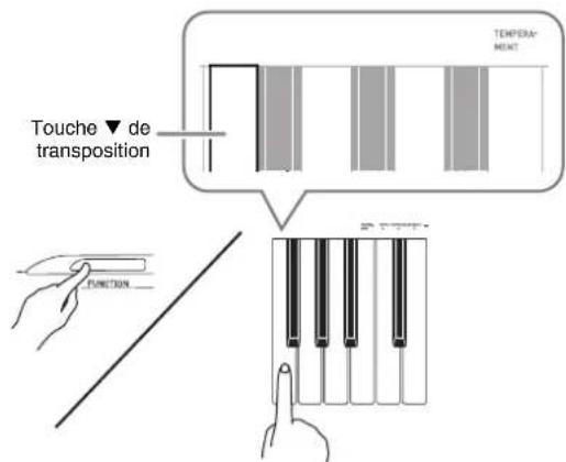 Touche ▼ de transposition TEMPER-MENT FUNCTION