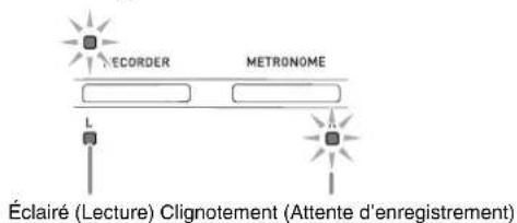 ECORDER METRONOME Éclairé (Lecture) Clignotement (Attente d'enregistrement)