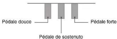 Pédale douce Pédale forte Pédale de sostenuto