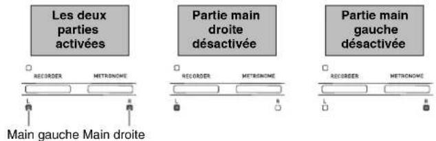 Les deux parties activées REORDER METRONOME Main gauche Main droite Partie main droite désactivée REORDER METRONOME Main gauche Main droite Partie main gauche désactivée