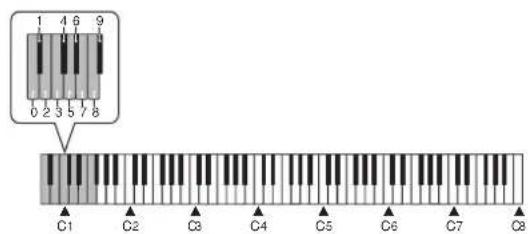 CASIO Privia PX-100 - REMARQUE - 1