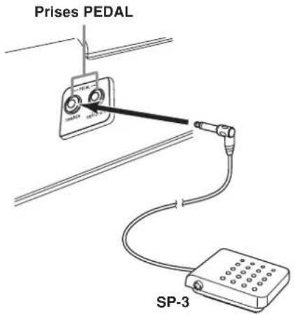 CASIO Privia PX-100 - Raccordement à une prise PEDAL - 1