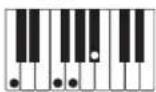 CASIO Privia PX-100 - REMARQUE - 11