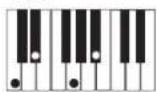 CASIO Privia PX-100 - REMARQUE - 7